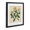 Stupell Industries Yellow Bushels Botanical Illustration Framed Print Under Glass, design by Petal Prints Design